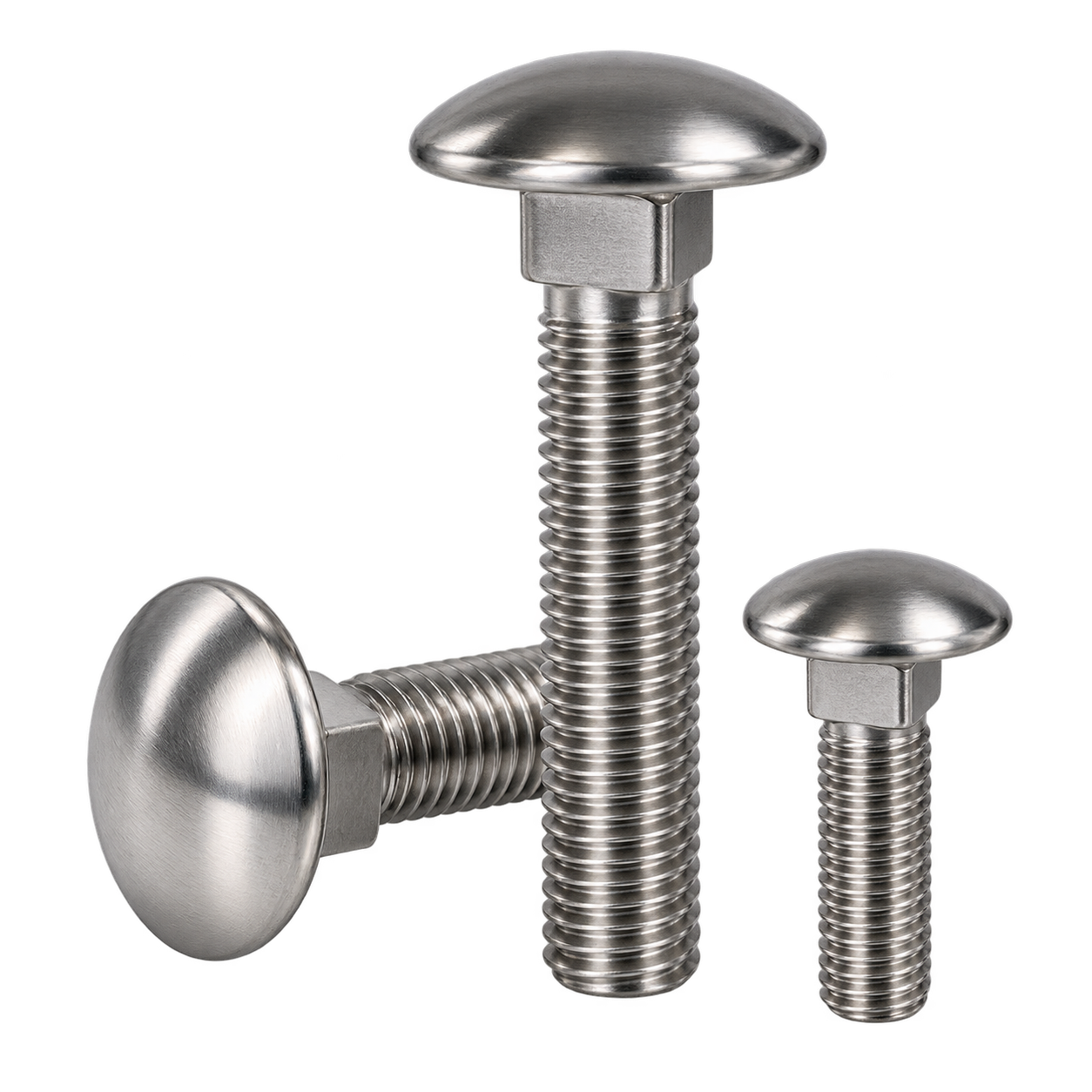 Stainless steel carriage bolts